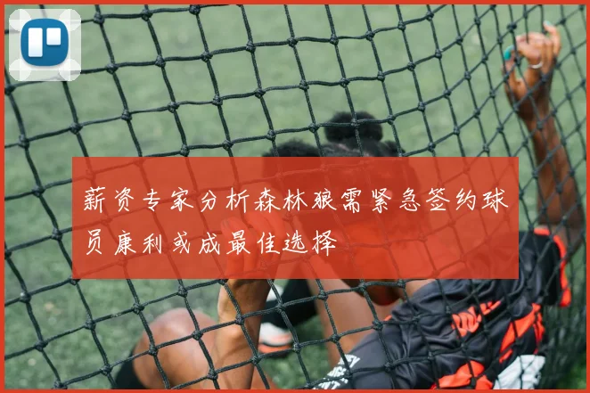 薪资专家分析森林狼需紧急签约球员康利或成最佳选择