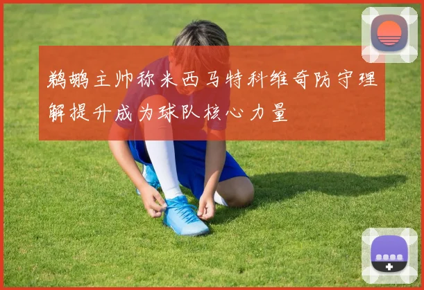 鹈鹕主帅称米西马特科维奇防守理解提升成为球队核心力量