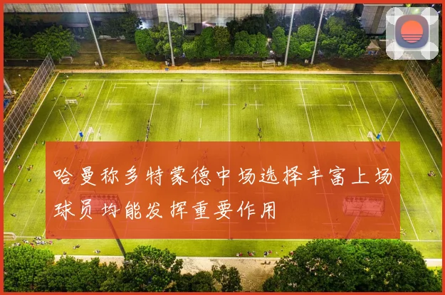 哈曼称多特蒙德中场选择丰富上场球员均能发挥重要作用