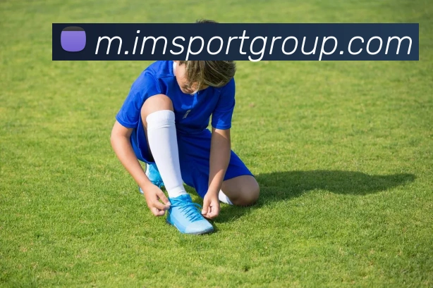 IM足球体育发展历程